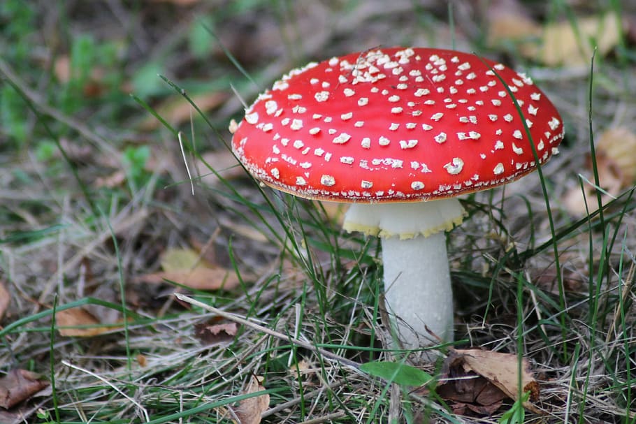 12 Harmful Ingredients in Skin Care to Avoid