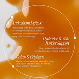 Barrier Repair Antioxidant Booster